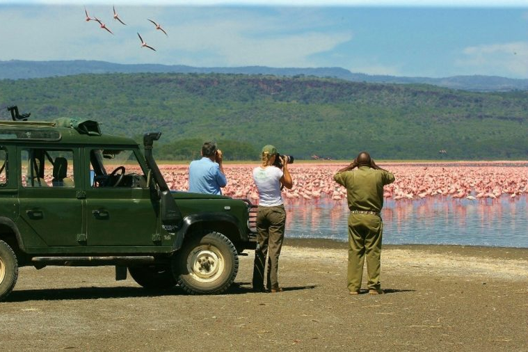 Safari at Lake Nakuru National Park