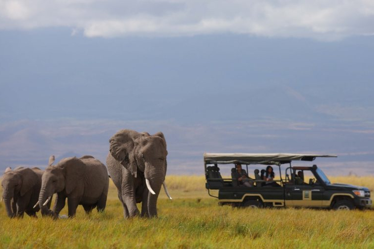 Luxury Safari in Amboseli National Park