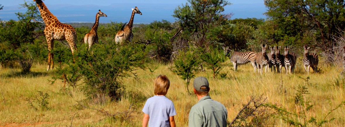 Family Safari in South Africa with Ants