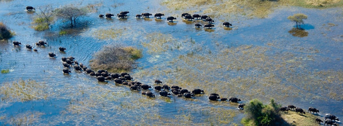 Luxury Safari in Botswana with Wilderness Safaris