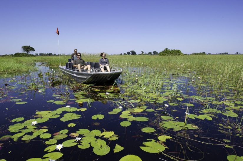 Luxury safari in the Okavango Delta