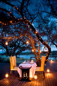 Romantic dinner on a safari honeymon