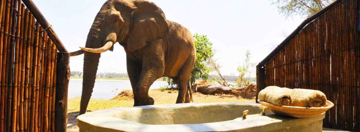 Why Africa is Extraordinary