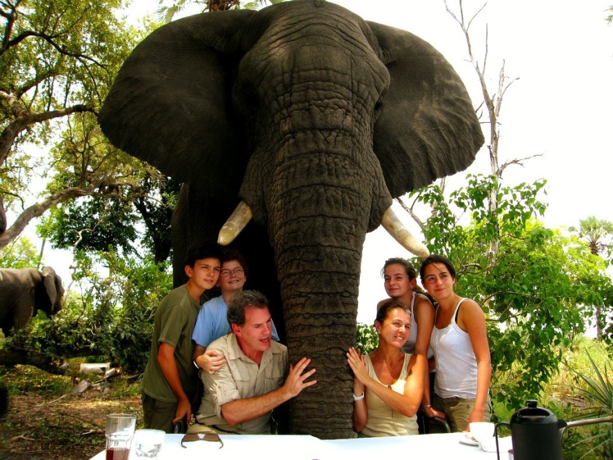 Walking with Elephants on a luxury safari in Botswana