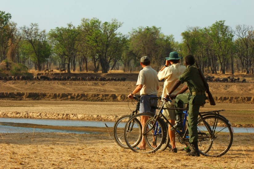 Mountain Bike Safari from Tafika, Zambia