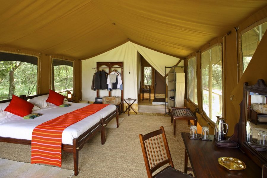 Elephant Pepper Camp Masai Mara