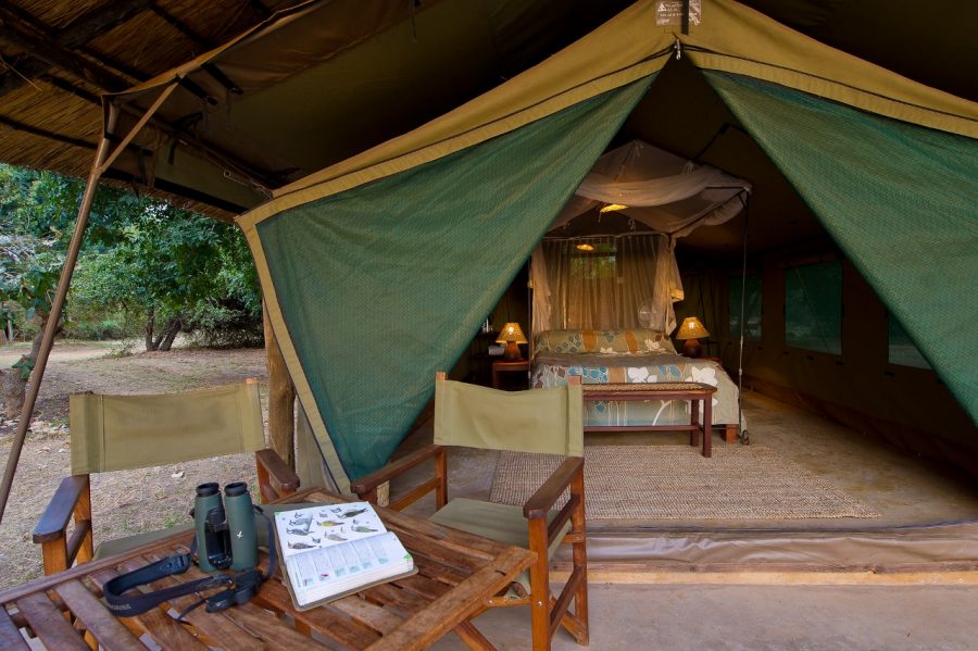 Flatdogs Camp South Luangwa National Park
