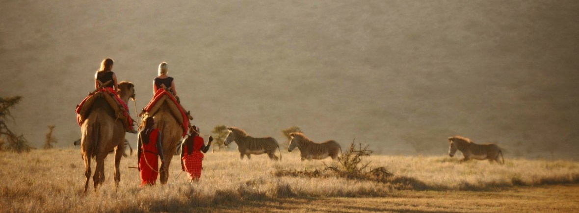 Luxury camel safari in Lewa, Laikipia