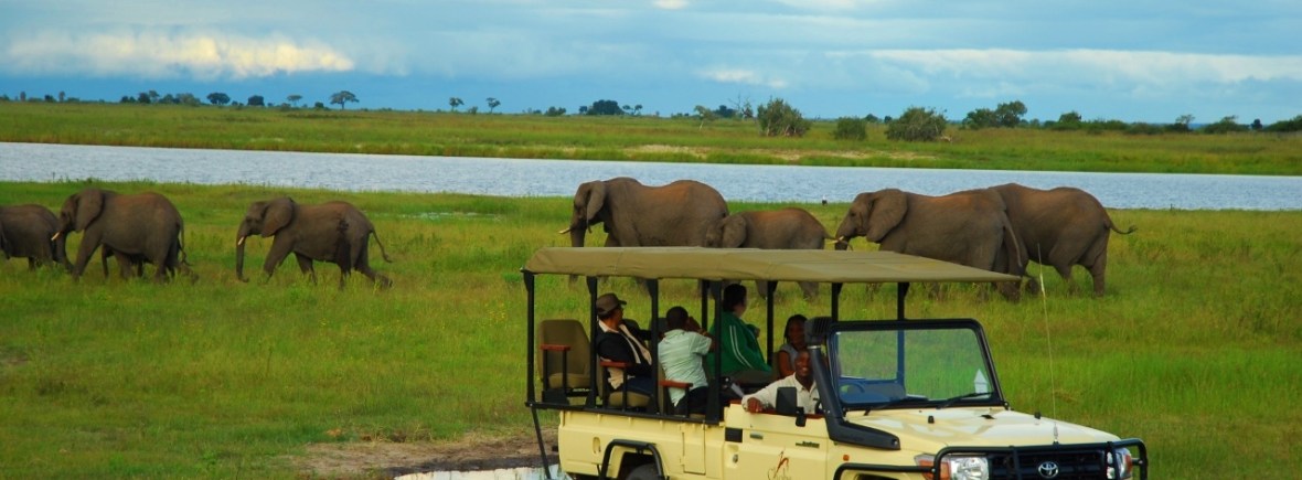 Luxury Safari in Chobe National Park, Botswana