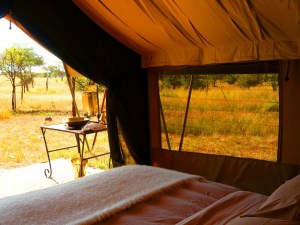 Luxury safari tent