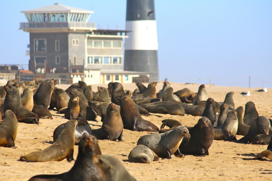Luxury Holidays in Namibia