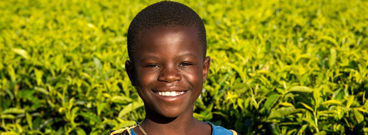 Safari in rural Malawi