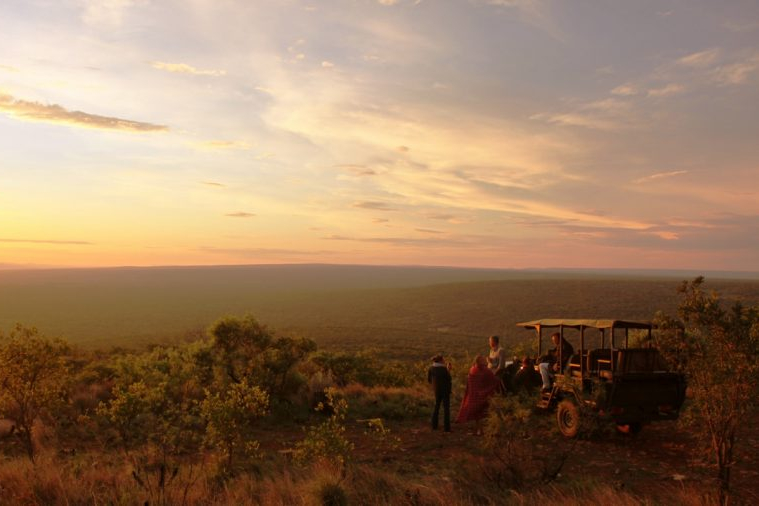 Safari in the Waterberg