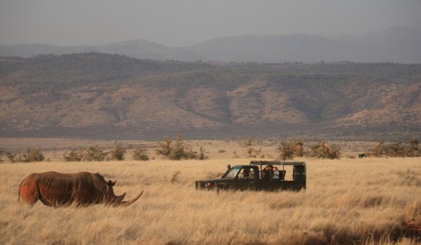 Safari at Lewa Safari Camp