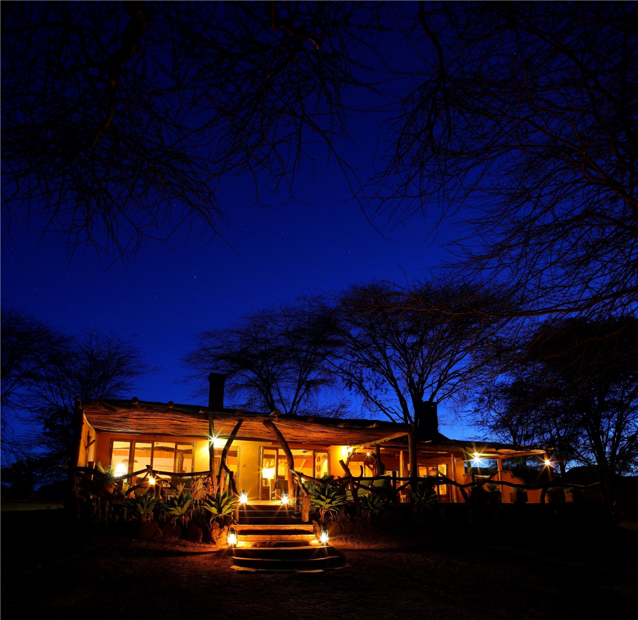 Safari at Lewa Safari Camp