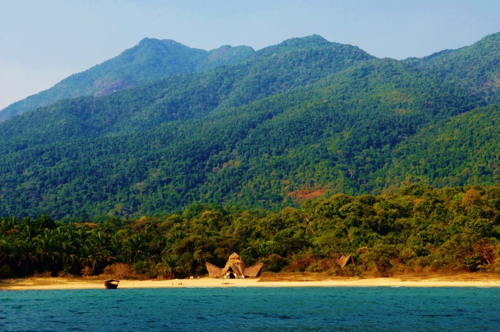 Chimp trekking at Greystoke Mahale