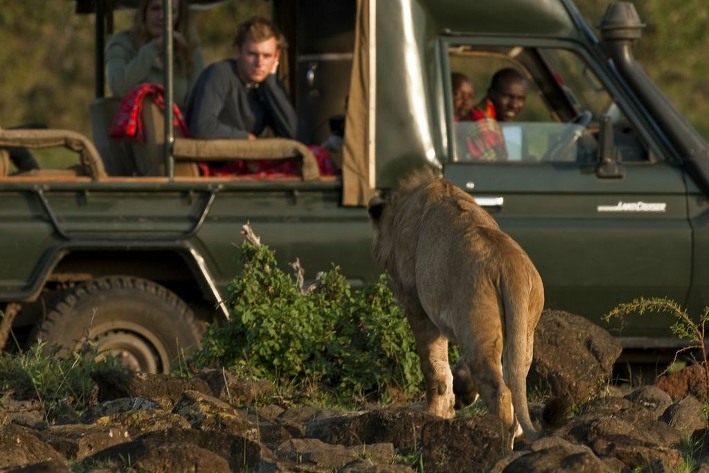ame drive in the Masai Mara from Offbeat Mara