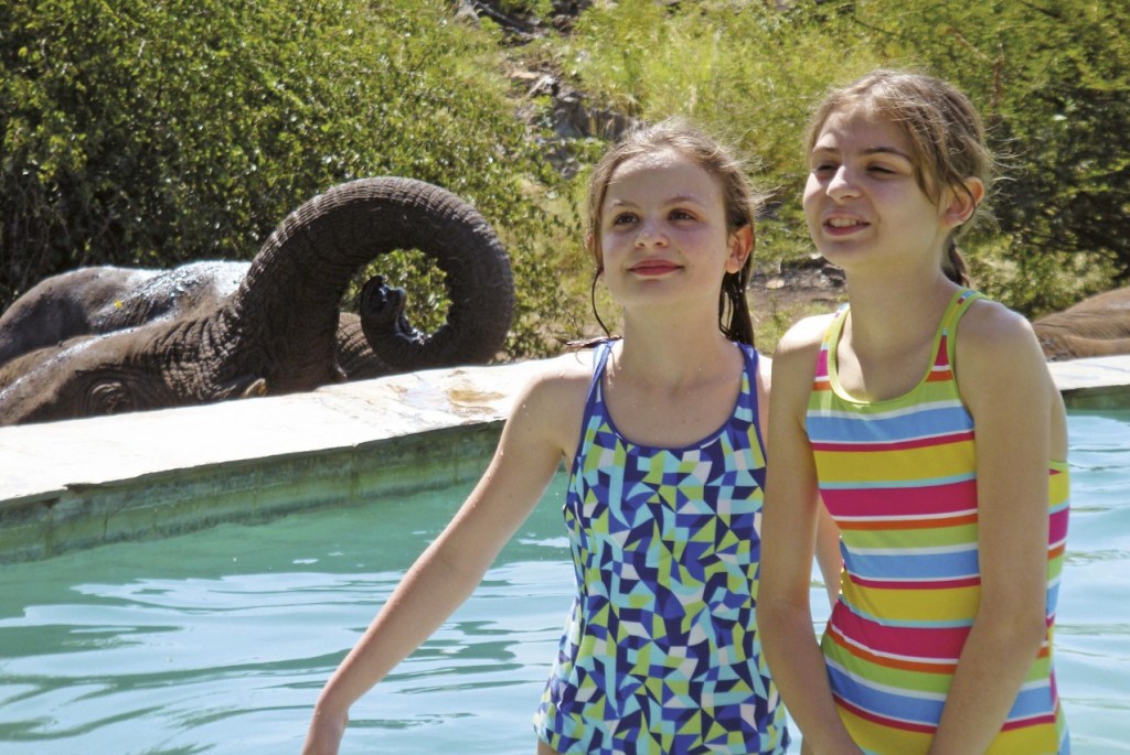 Family Safari in South Africa