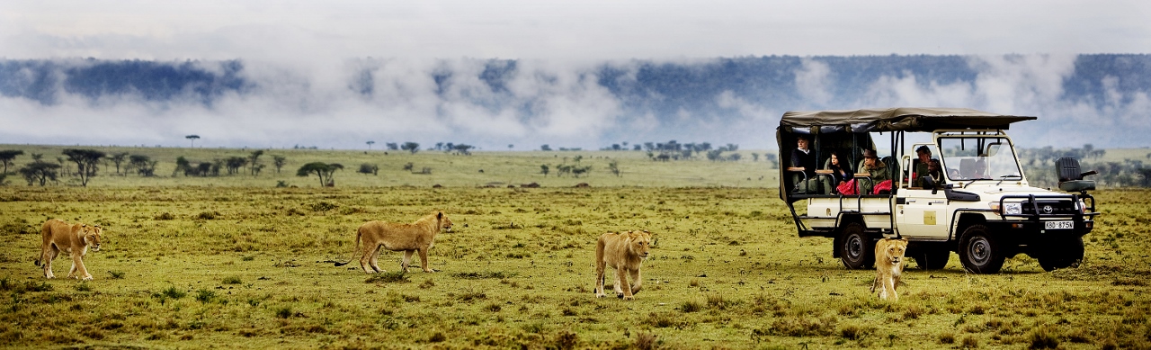 Game drive from Karen Blixen Camp, Masai Mara