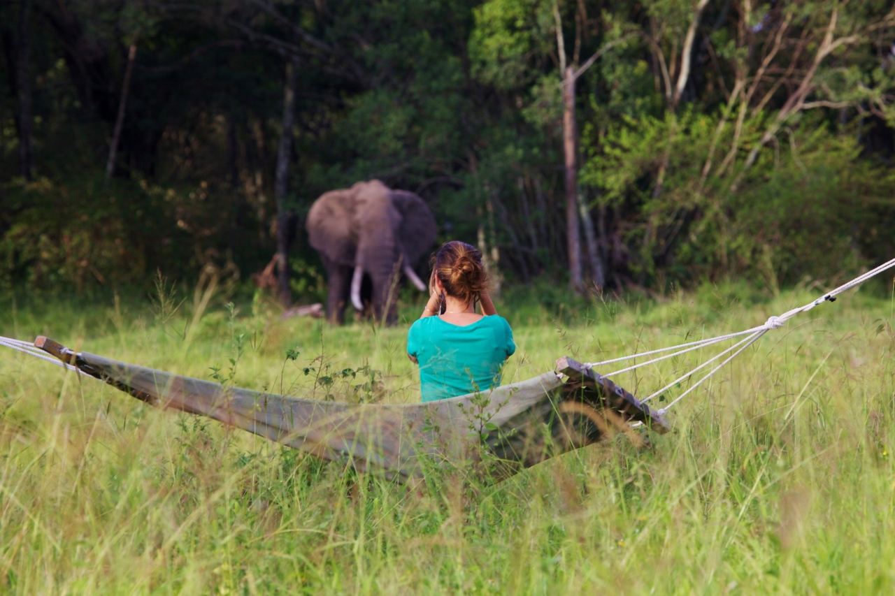 Hammock at Elephant Pepper Camp