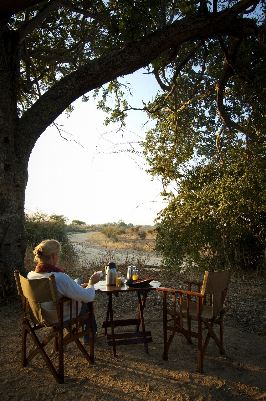 Coffee at Kigelia Ruaha
