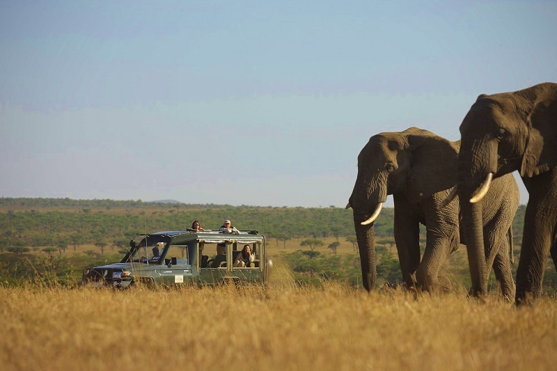 Game drive at Kicheche Valley Camp