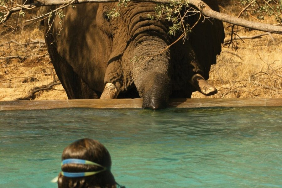 Tuningi Safari Lodge