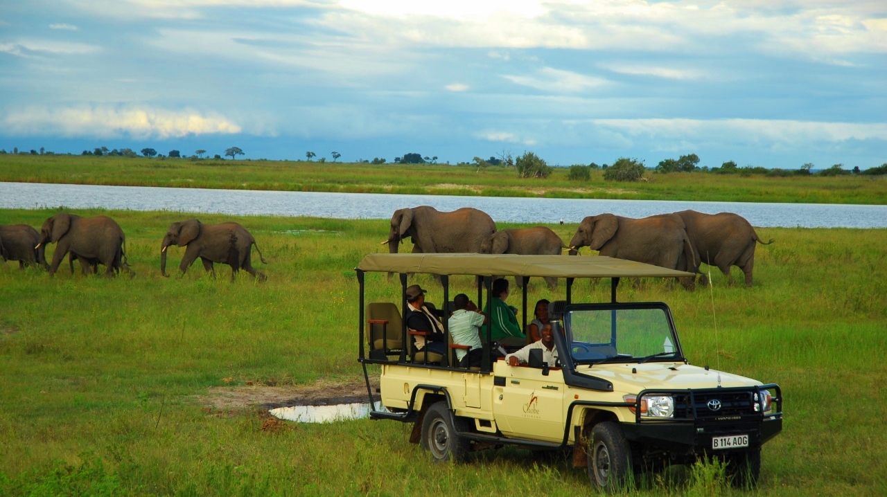 Chobe Chilwero Game Drive