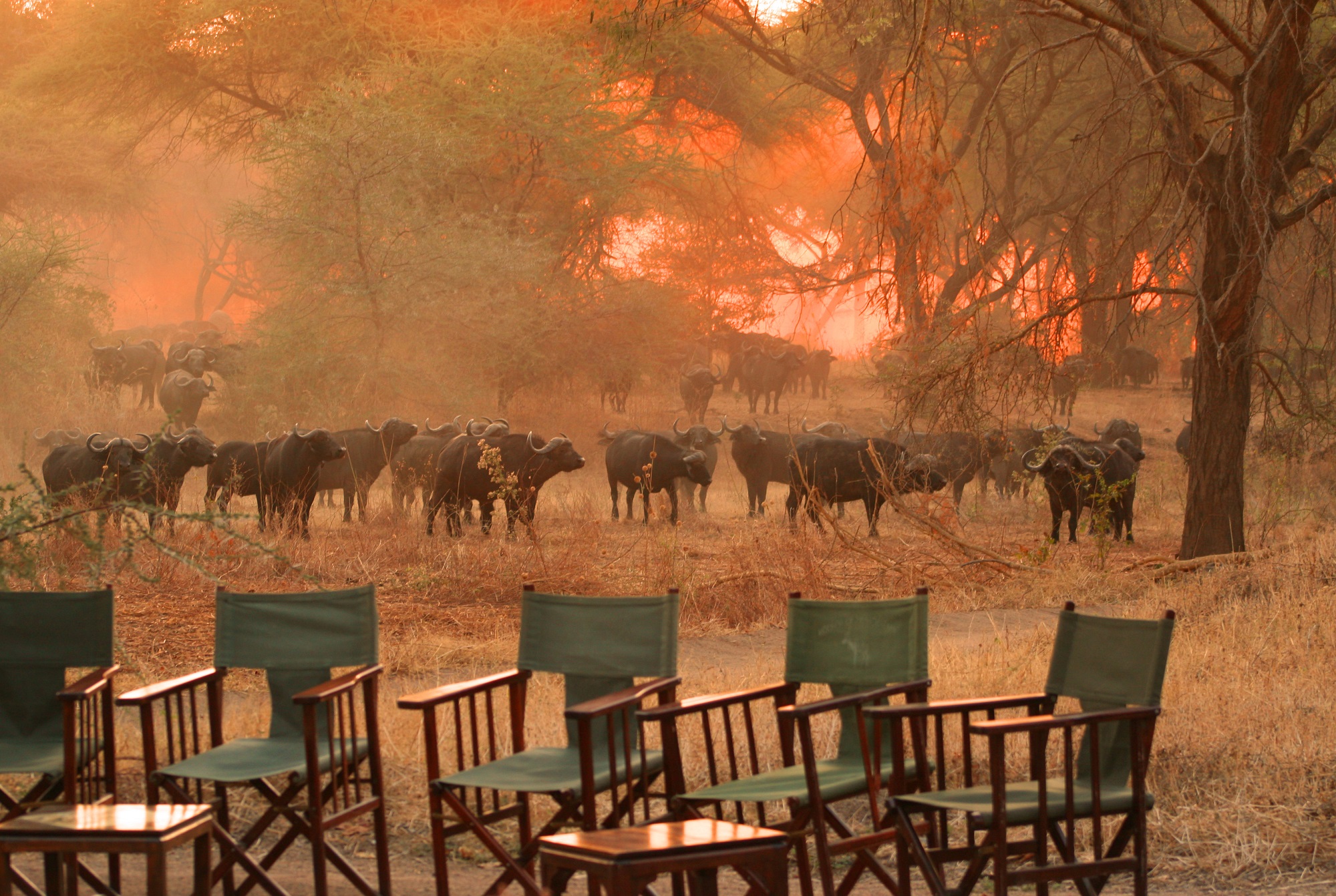 Mdonya Old River Camp