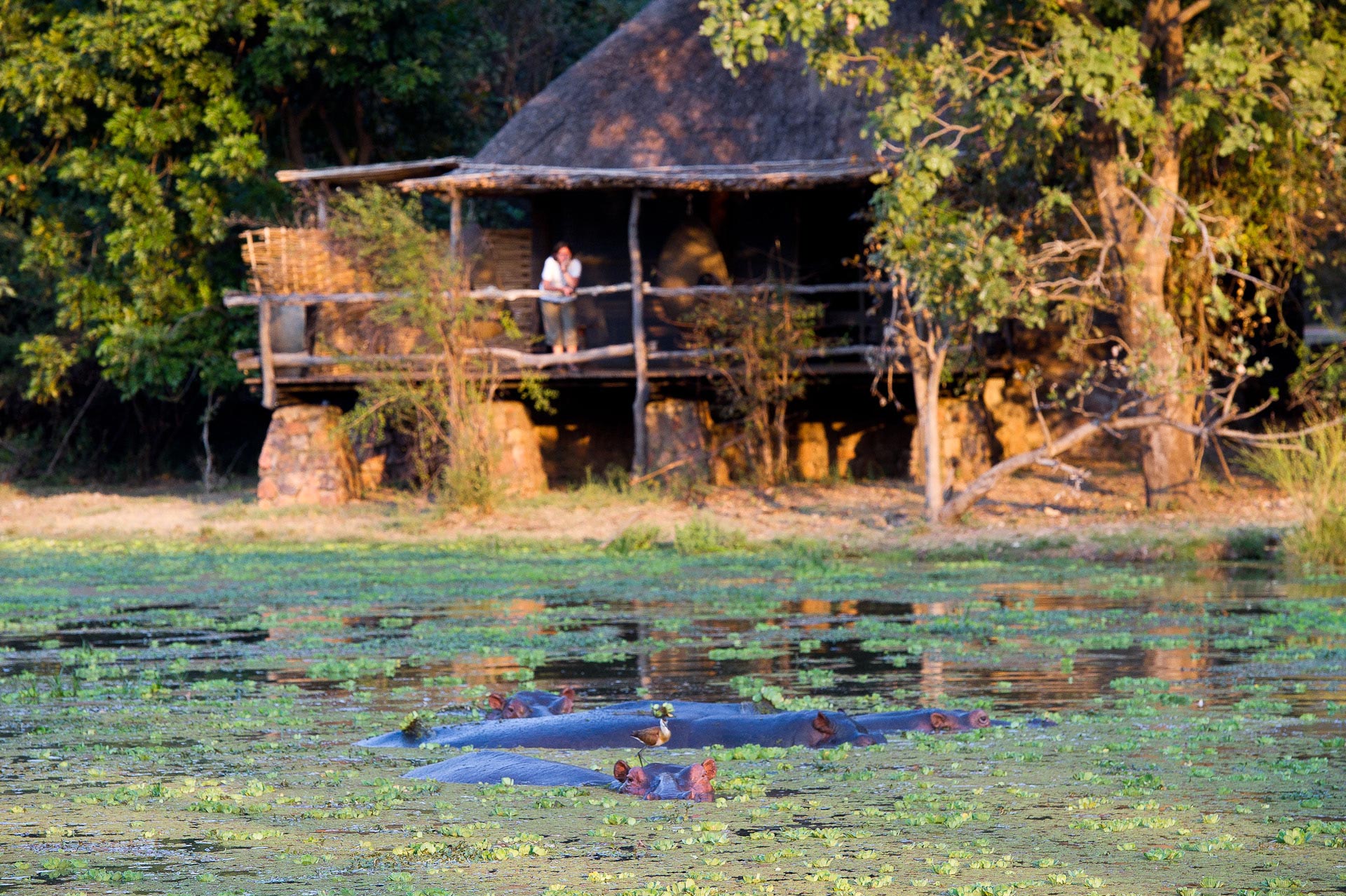 Mfuwe Lodge
