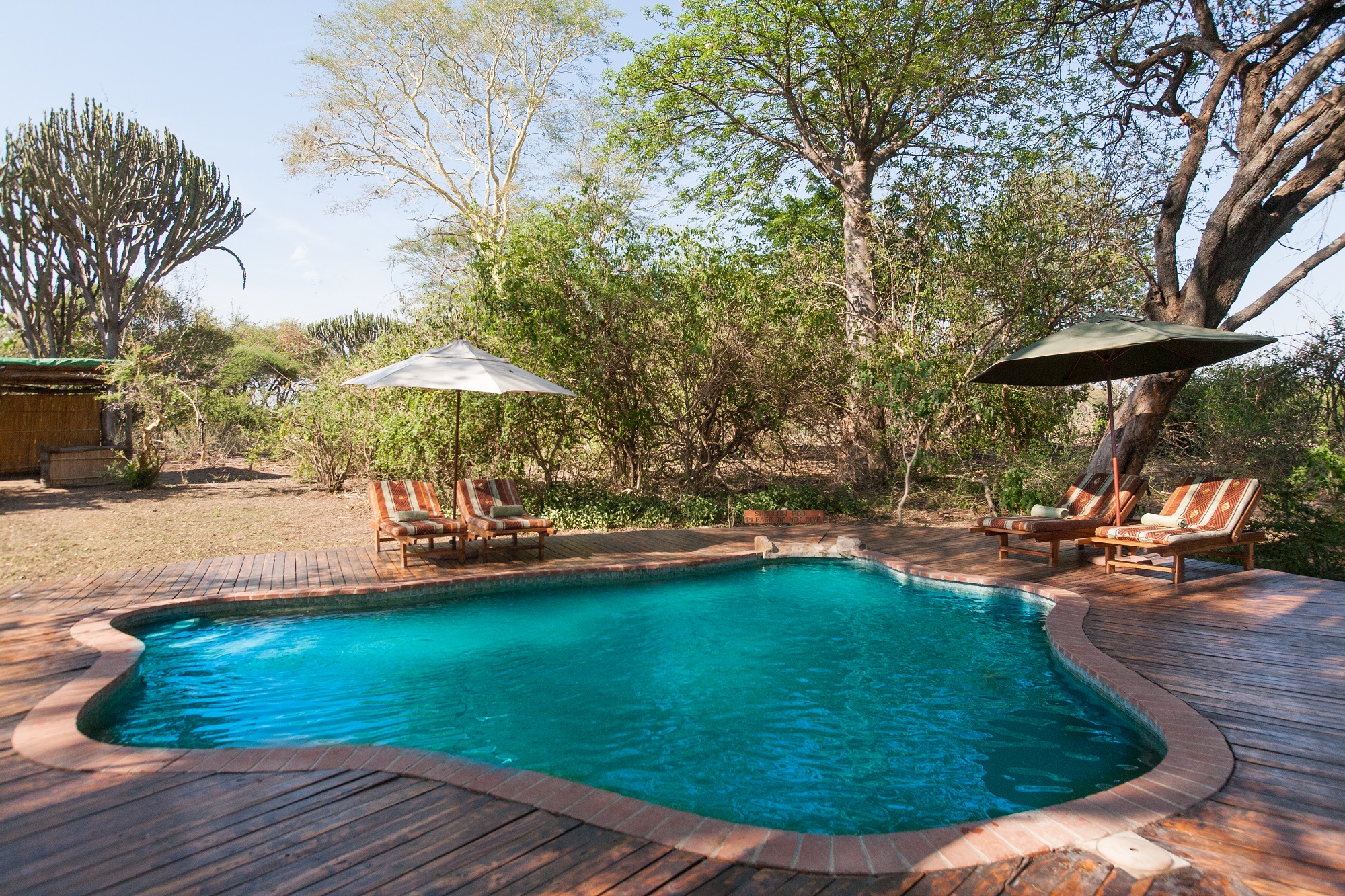 Mvuu Lodge Swimming Pool