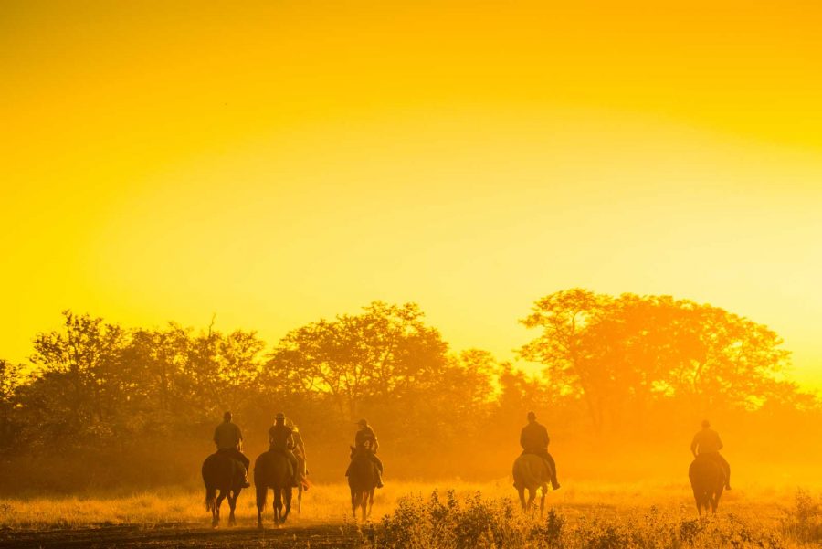 Motswiri Riding Safari