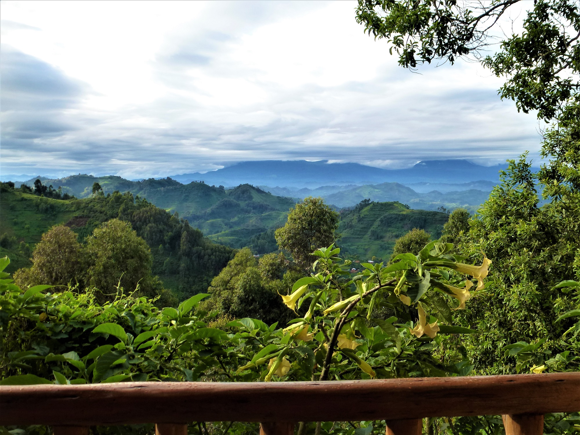 Nkuringo Gorilla Lodge View