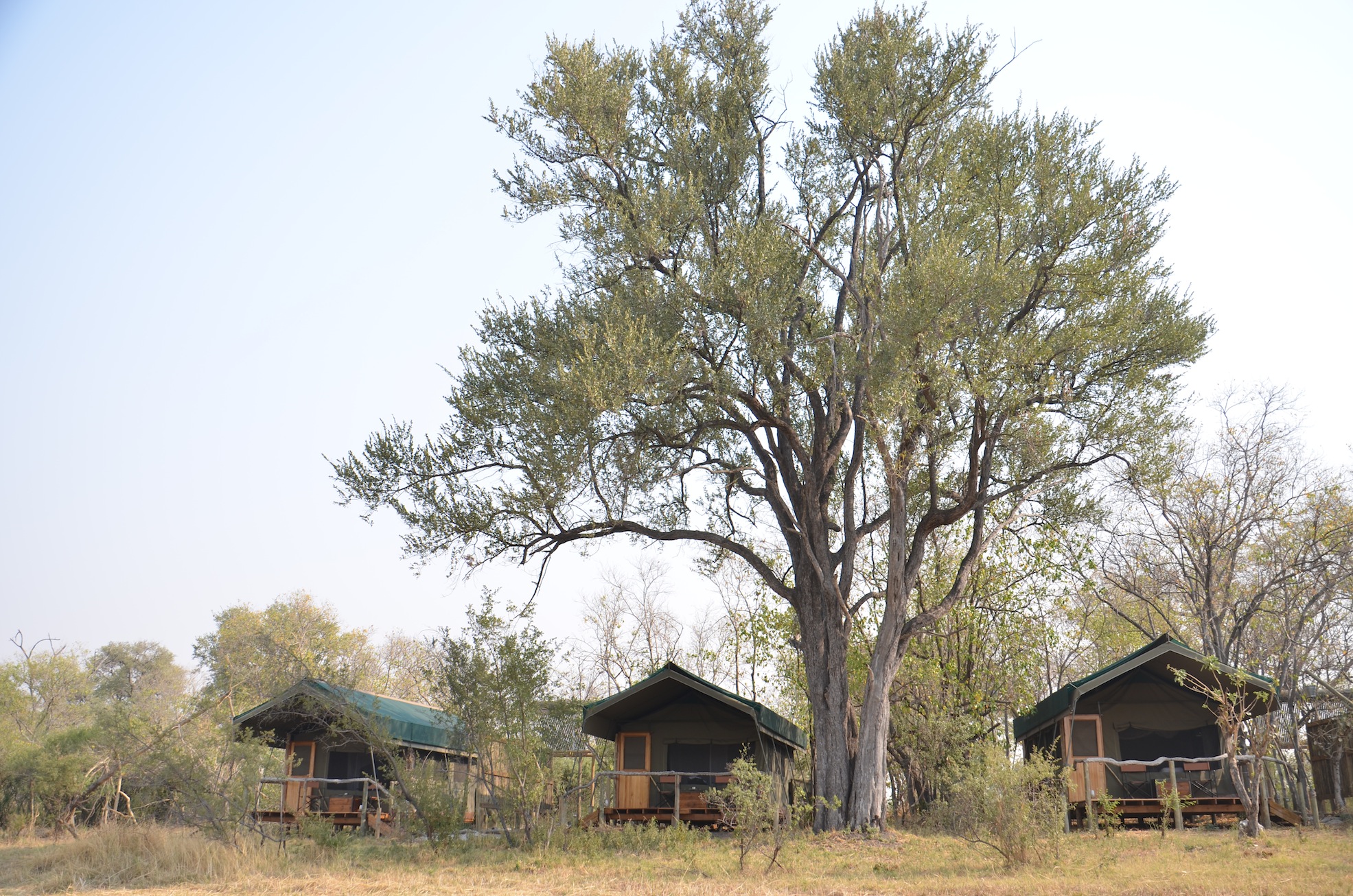 Meru Tents at sango safari Camp