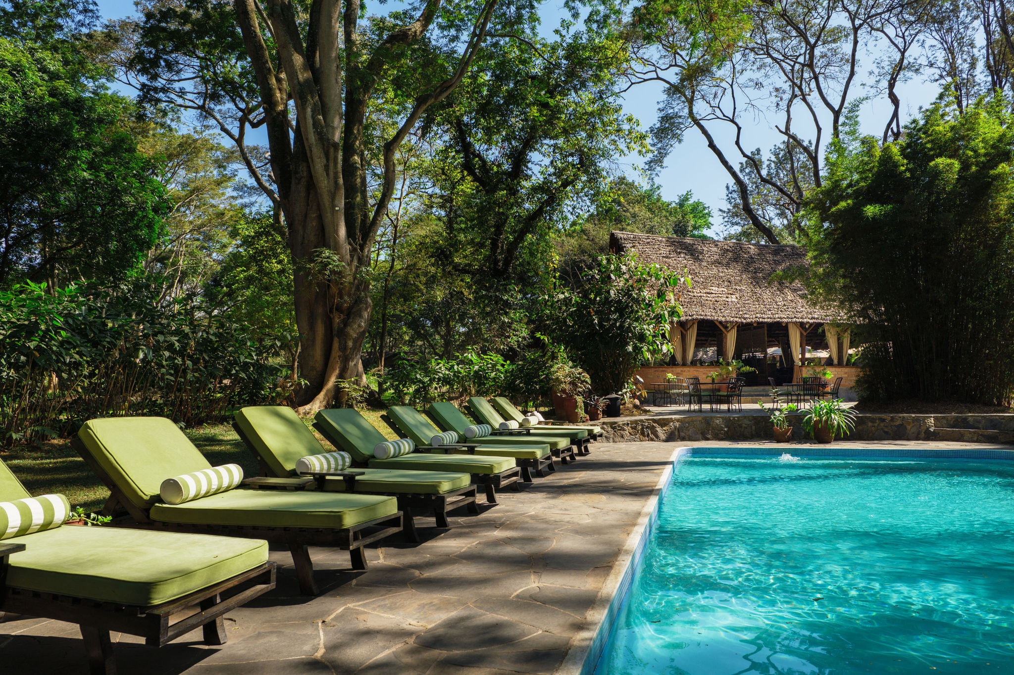 Pool area at rivertrees country inn