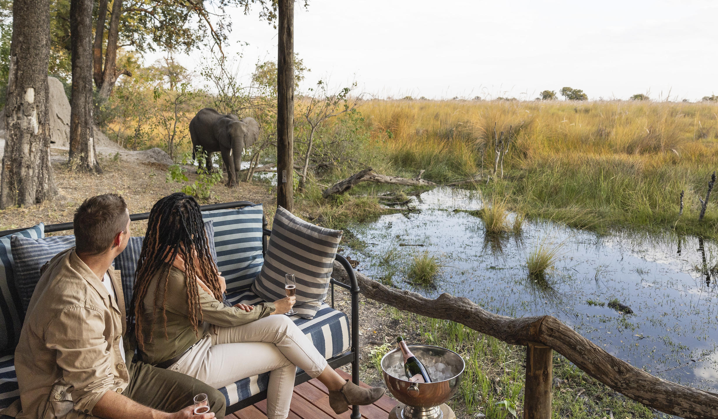 View from the Tent at Shinde Footsteps with Elephant