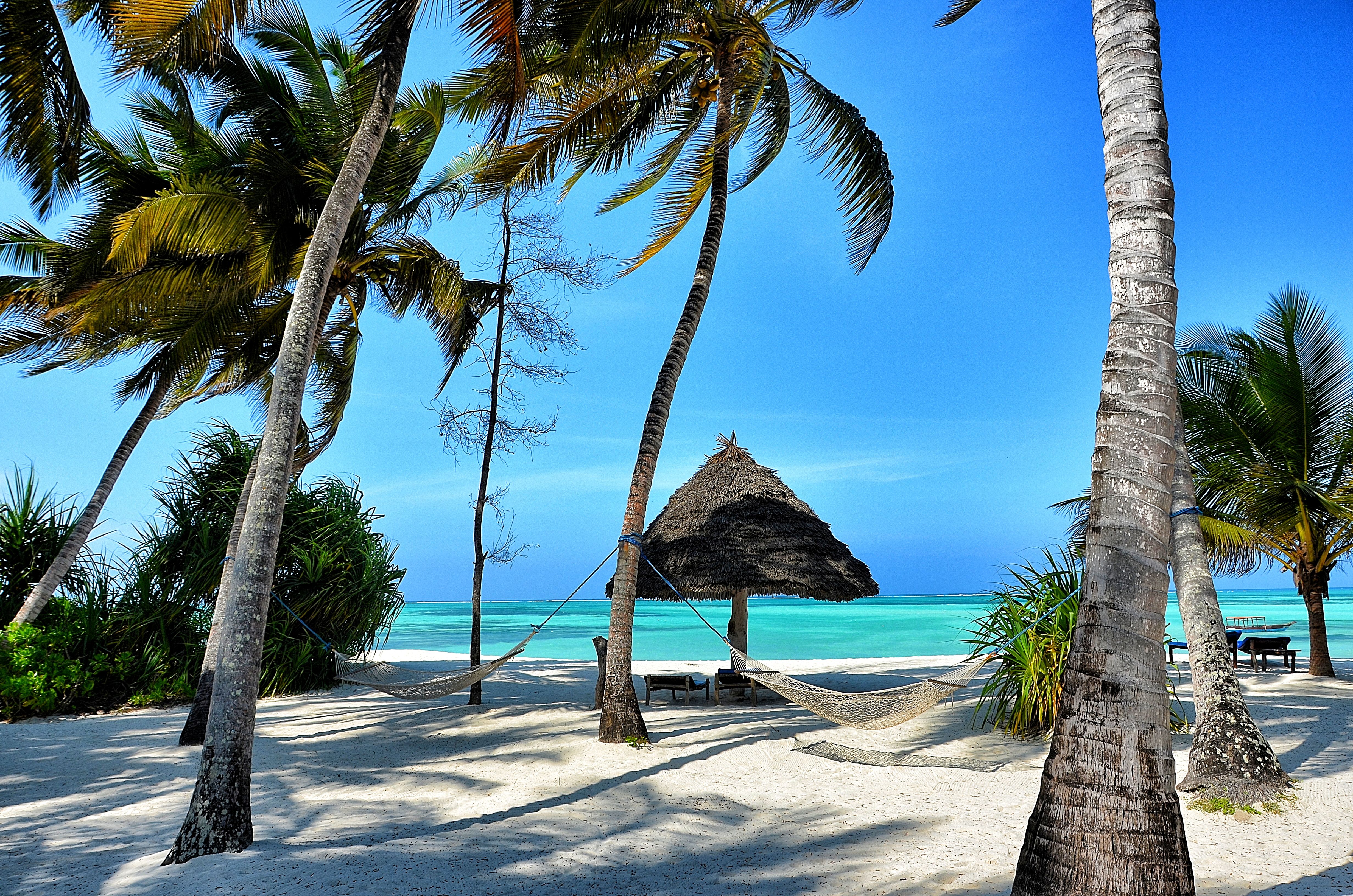 Hammocks on the beach at Pongwe Beach Hotel
