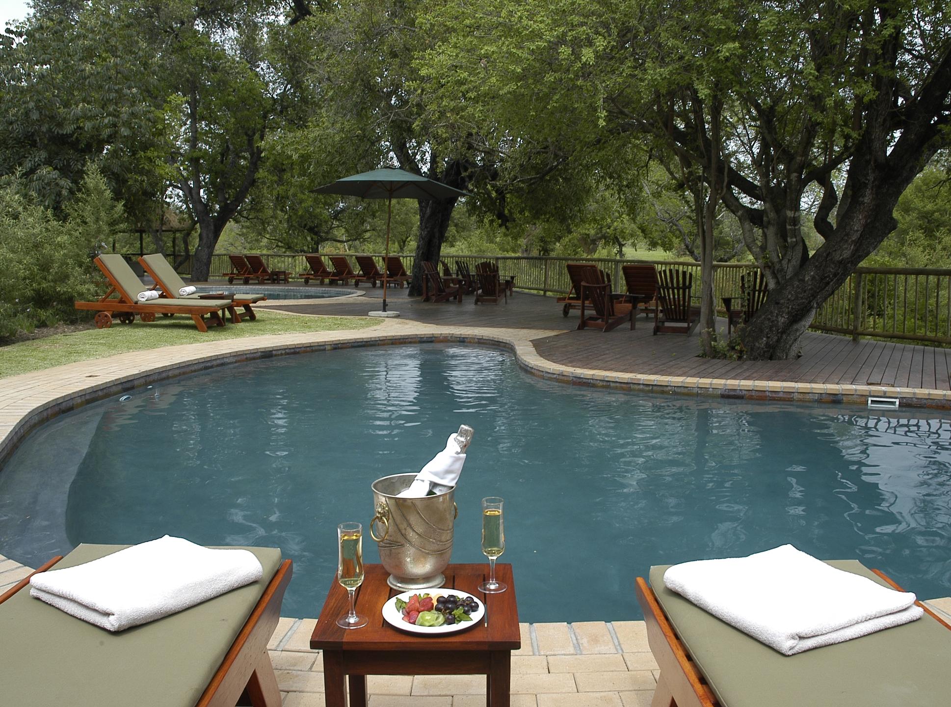 Swimming Pool at sabi sabi bush lodge