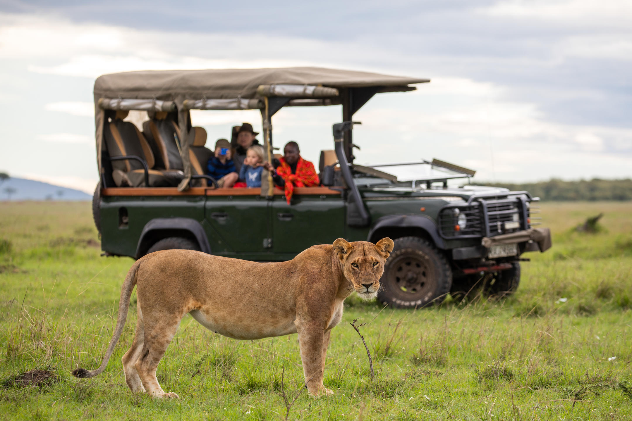On safari from House in the Wild