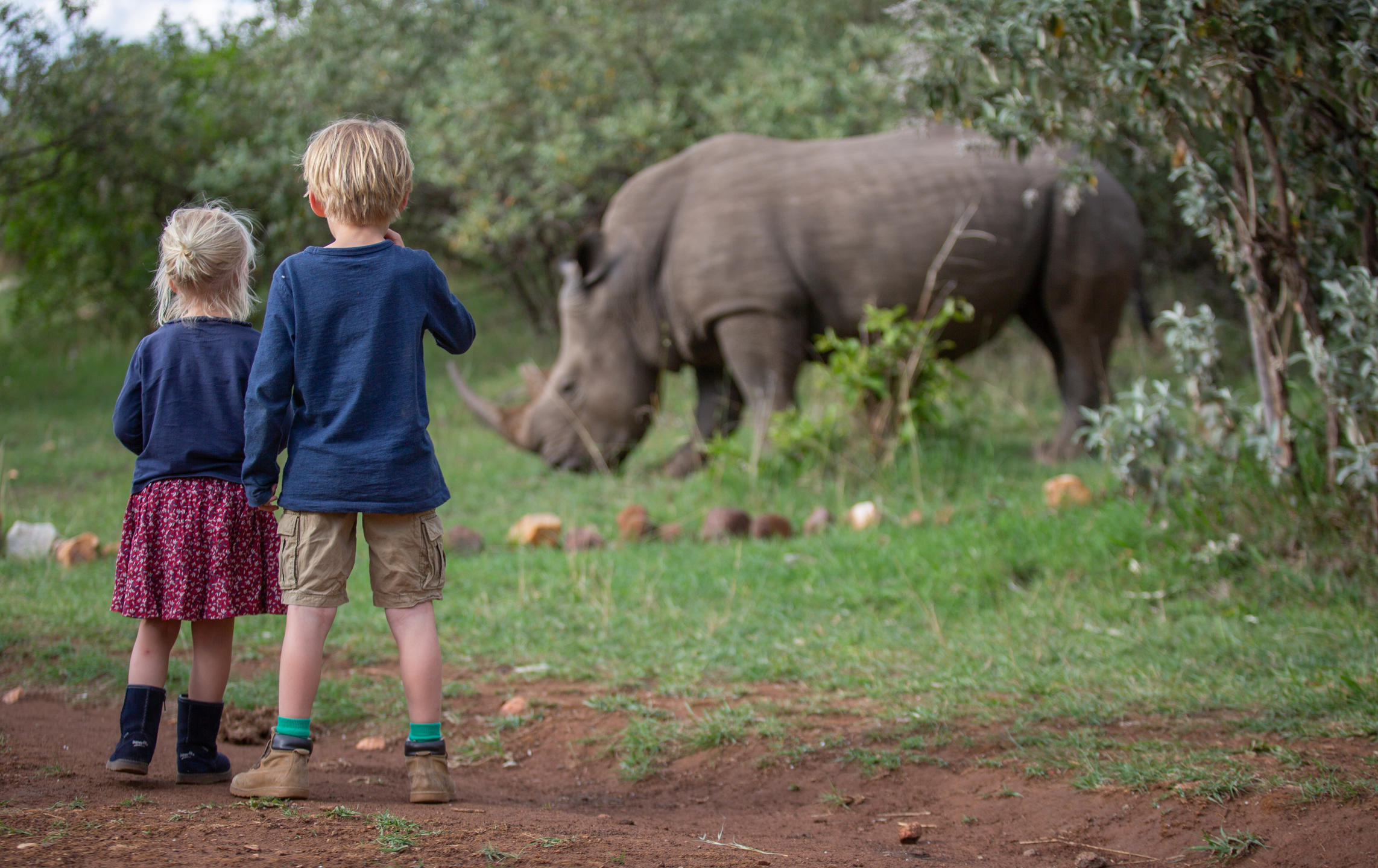 On safari with children at House in the Wild
