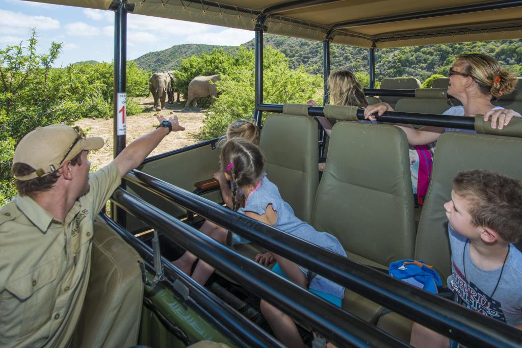 A safari guide points out elephants in the distance while a group of excited children and adults observe from an open-top vehicle surrounded by greenery.