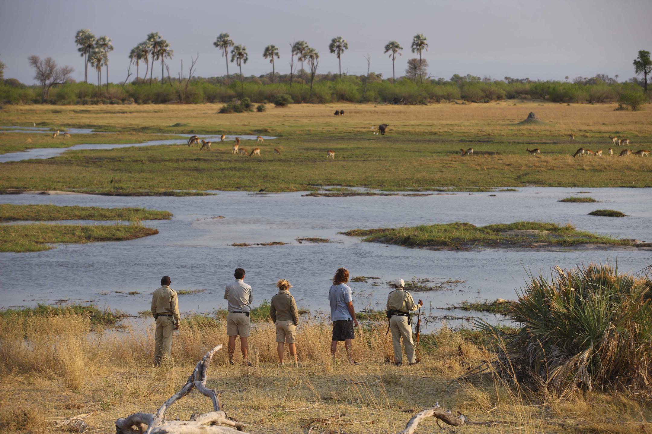 walking safari in the okavango from sandibe